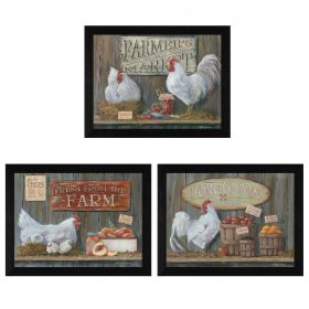 "Farmers Market Collection" 3-Piece Vignette By Pam Britton, Printed Wall Art, Ready To Hang Framed Poster, Black Frame