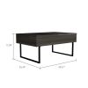 DEPOT E-SHOP Toronto Lift Top Coffee Table, One Drawer, Two Legs, Carbon Espresso / Onyx